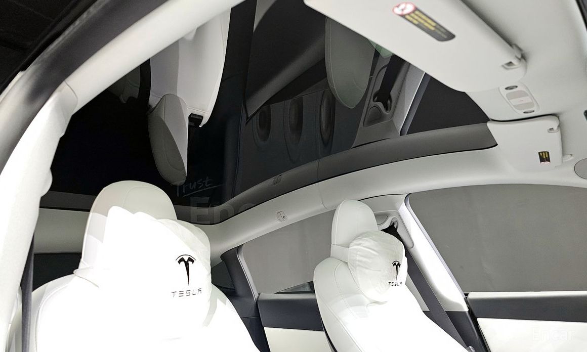 Model Y Long Range 21