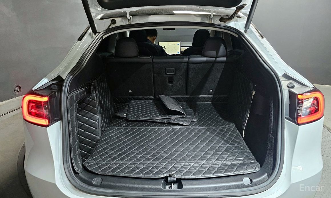 Model Y Long Range 21