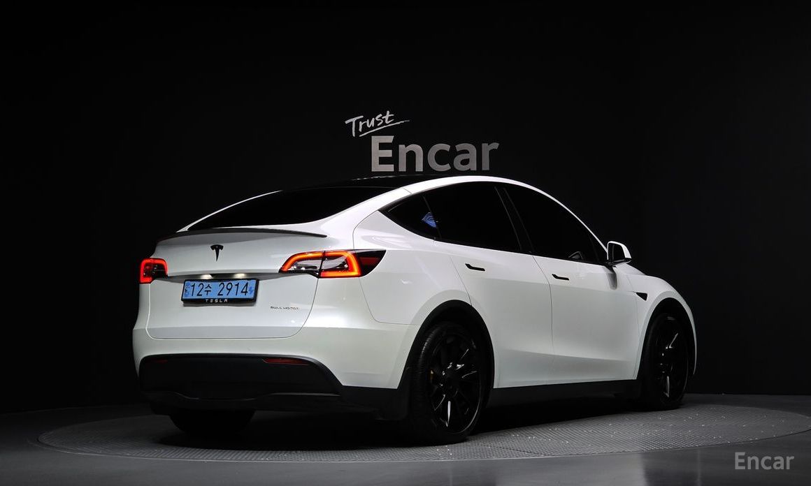 Tesla Model Y Long Range №3