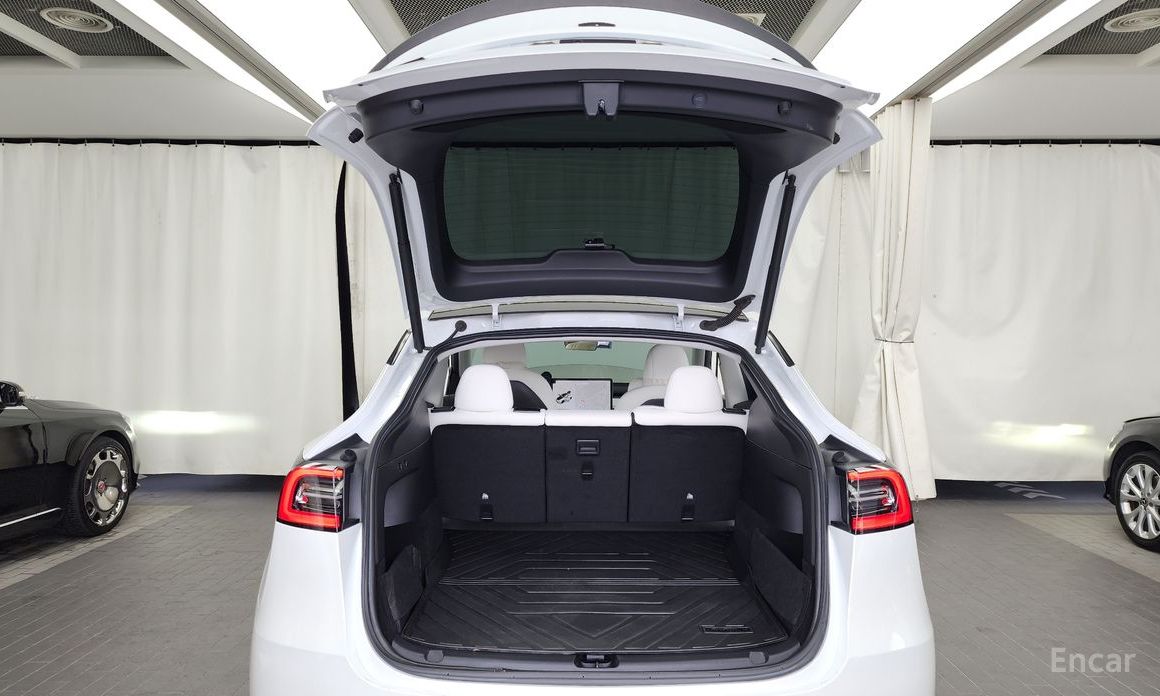 Tesla Model Y Long Range №21
