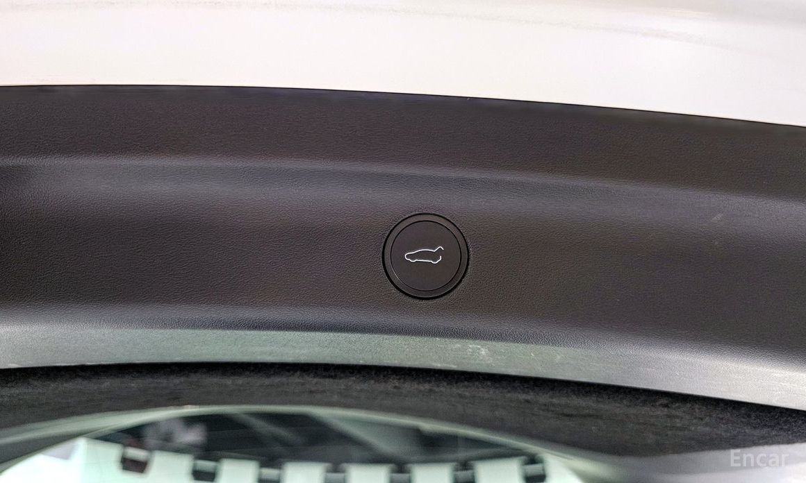 Model Y Long Range 19