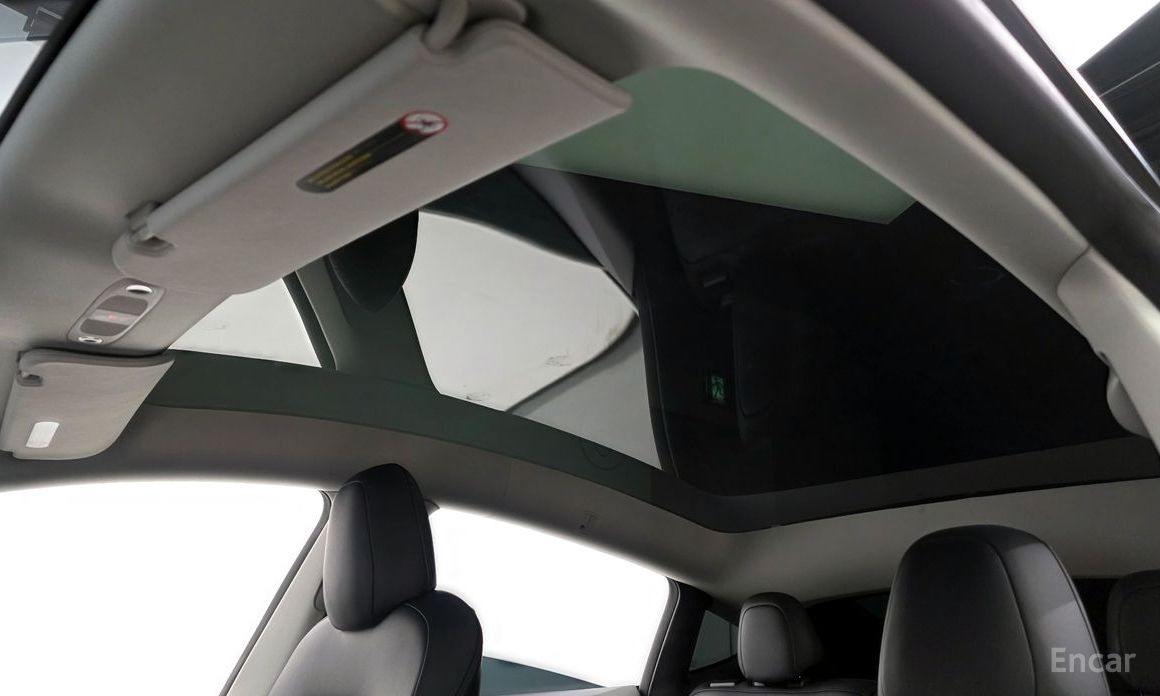 Model Y Long Range 20