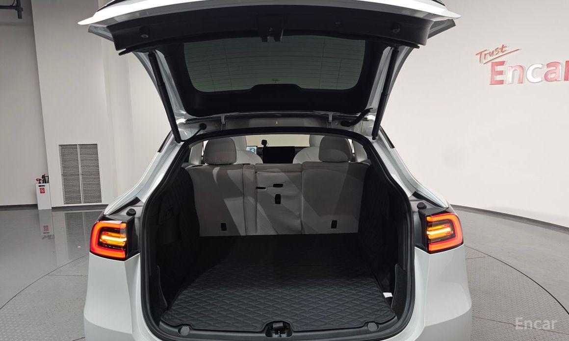 Tesla Model Y Long Range №20