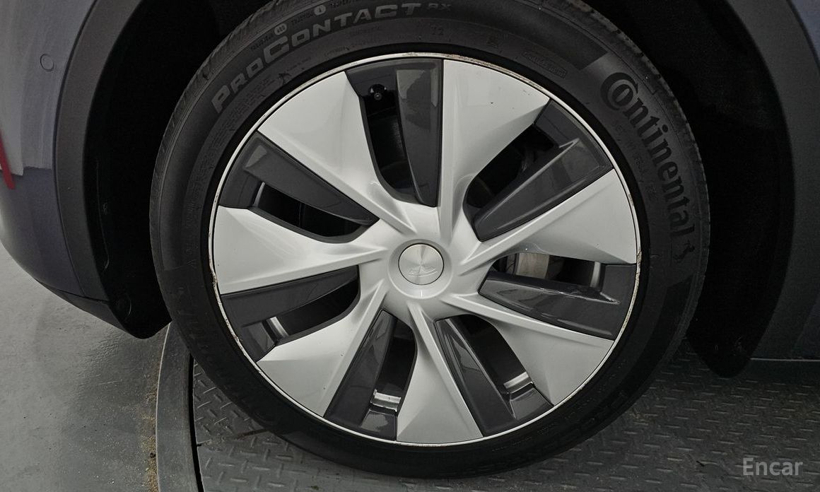 Model Y Long Range 6