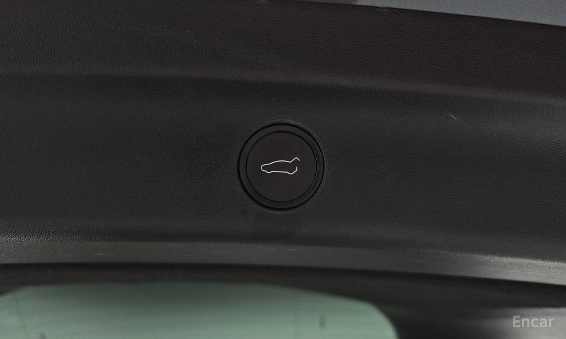 Model Y Long Range 19