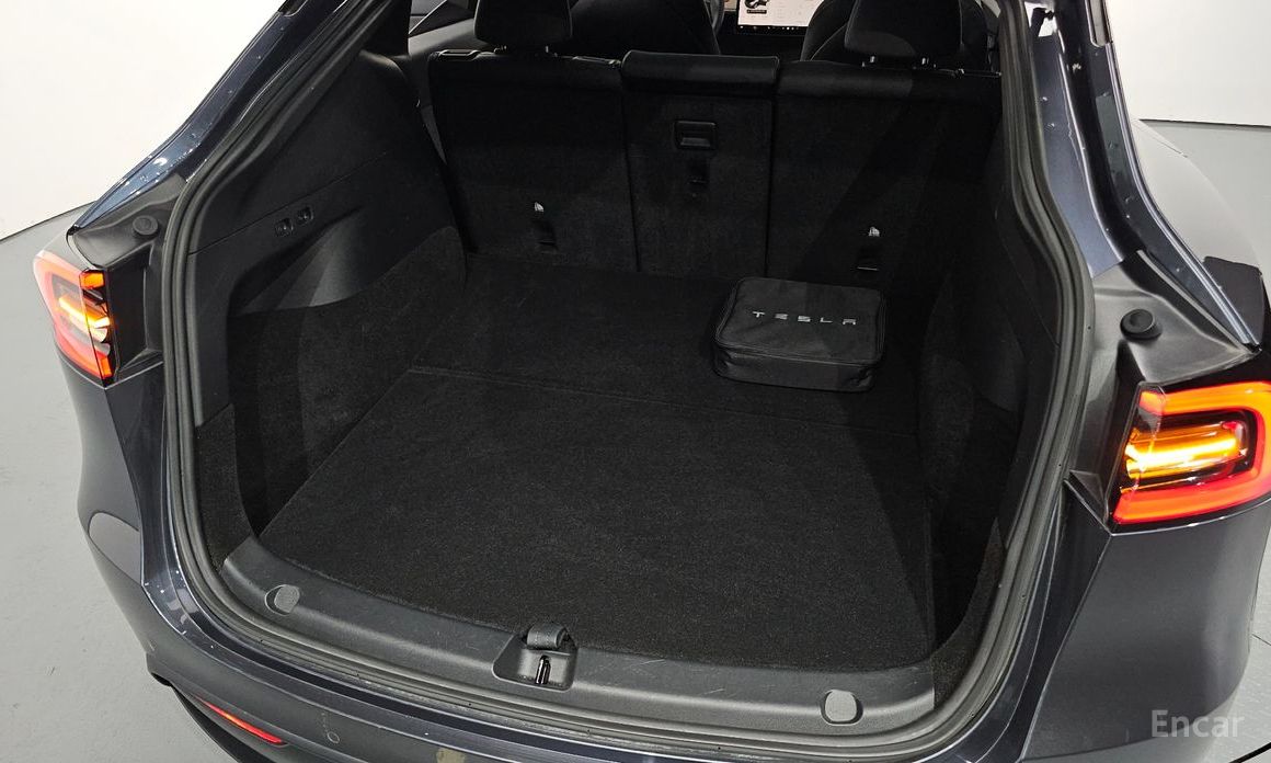 Model Y Long Range 21