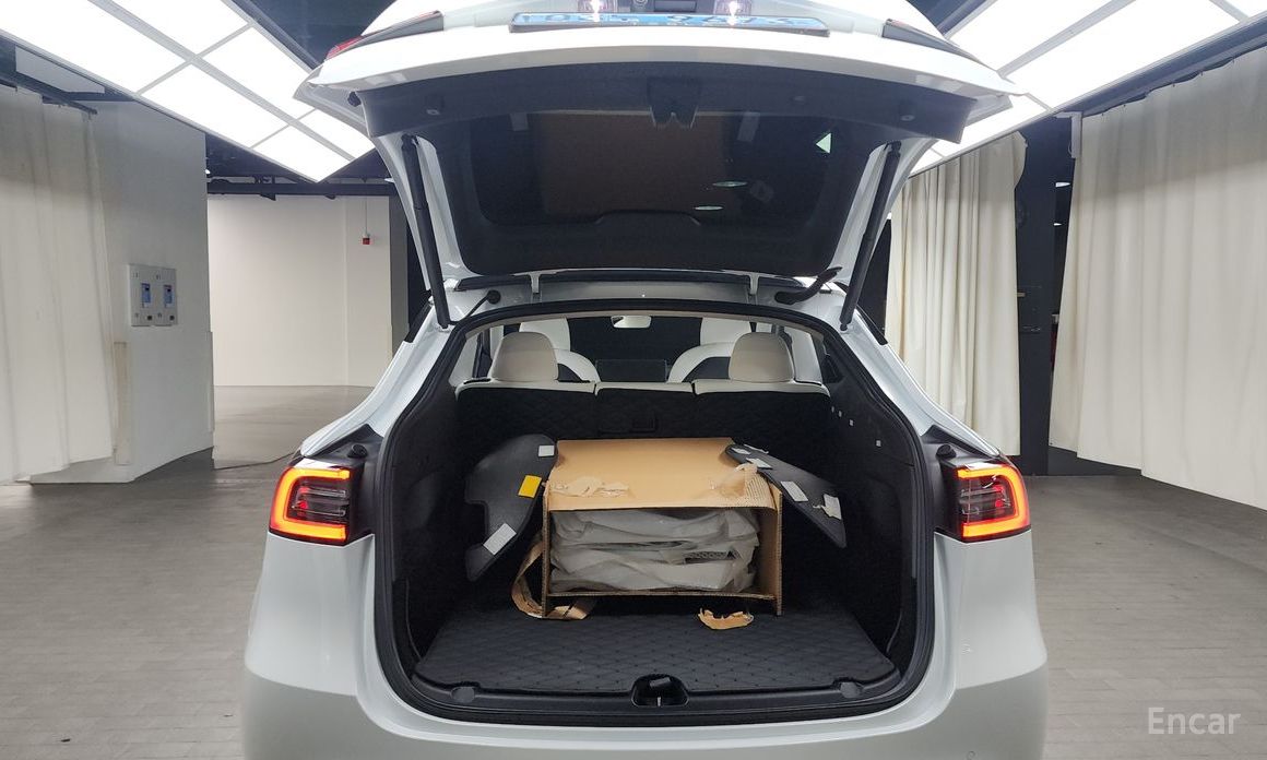 Model Y Long Range 21