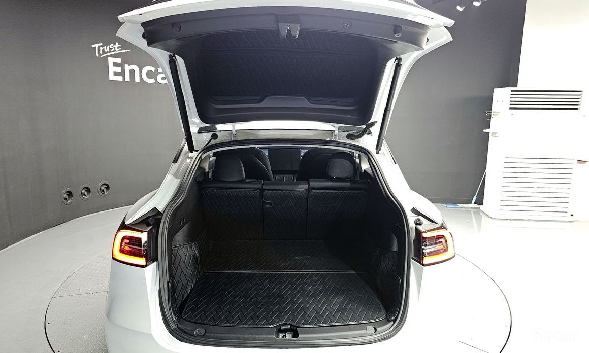 Tesla Model Y Long Range №21
