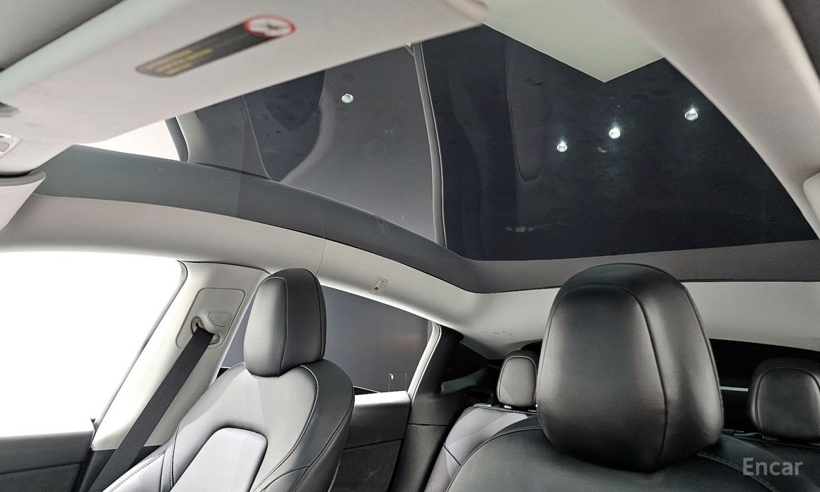 Model Y Long Range 20