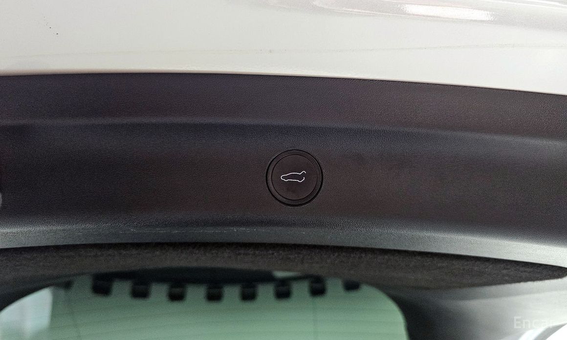Model Y Long Range 21