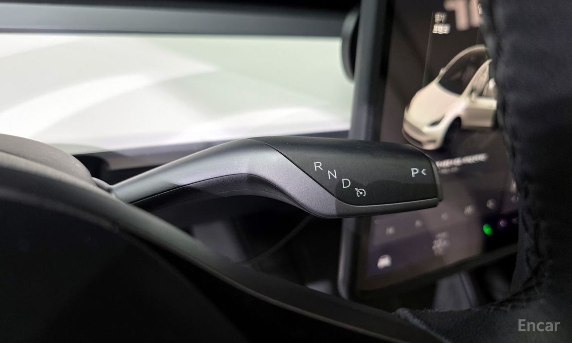 Model Y Long Range 10