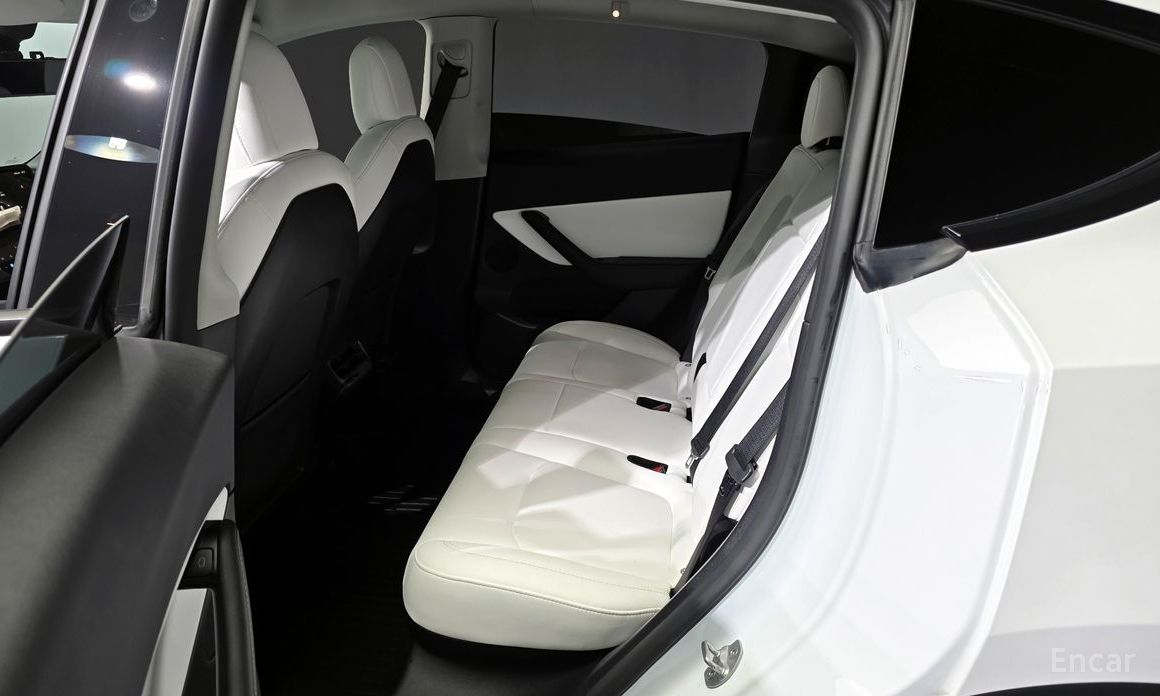 Model Y Long Range 12