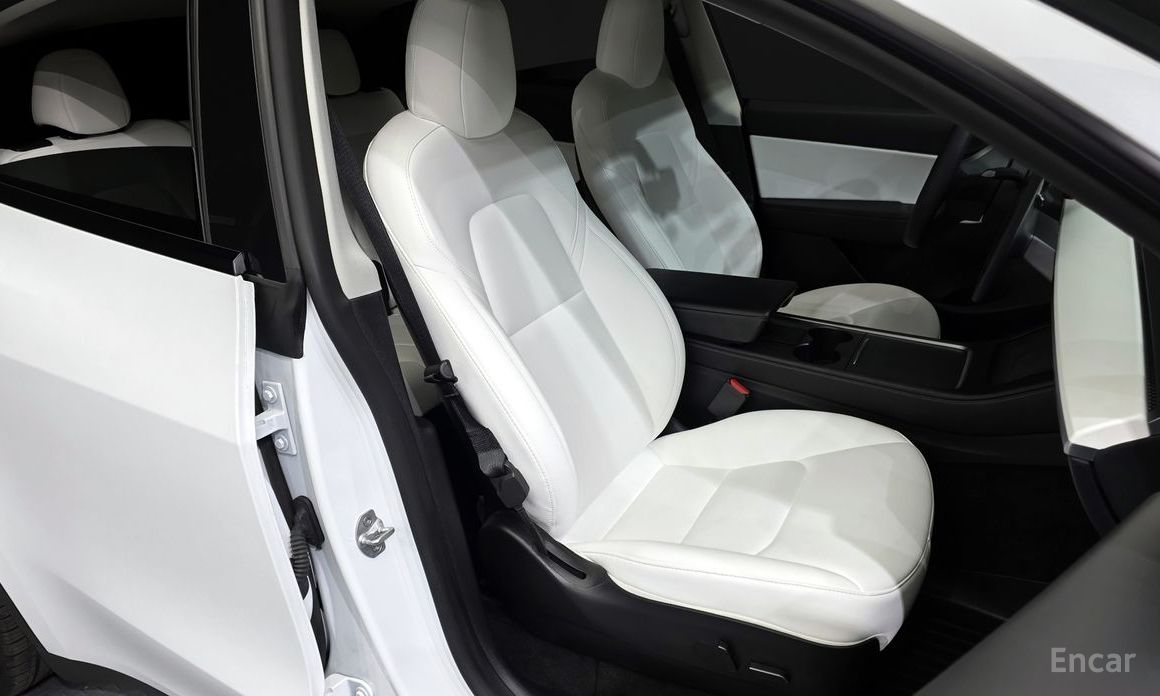 Model Y Long Range 13