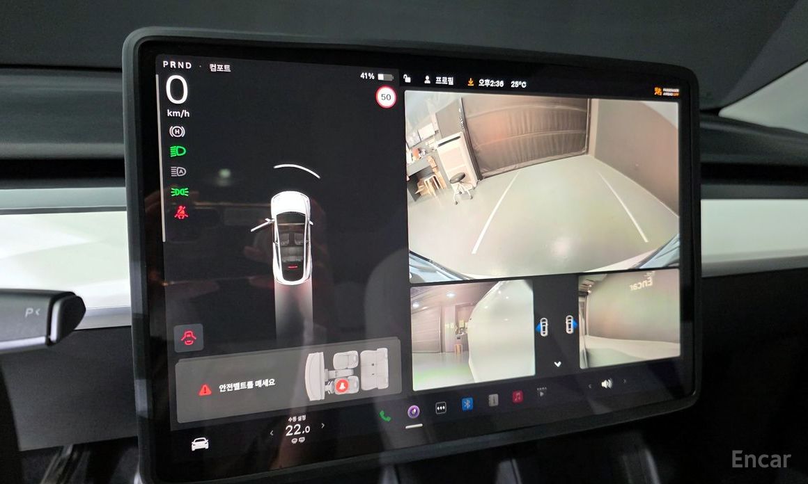 Model Y Long Range 17