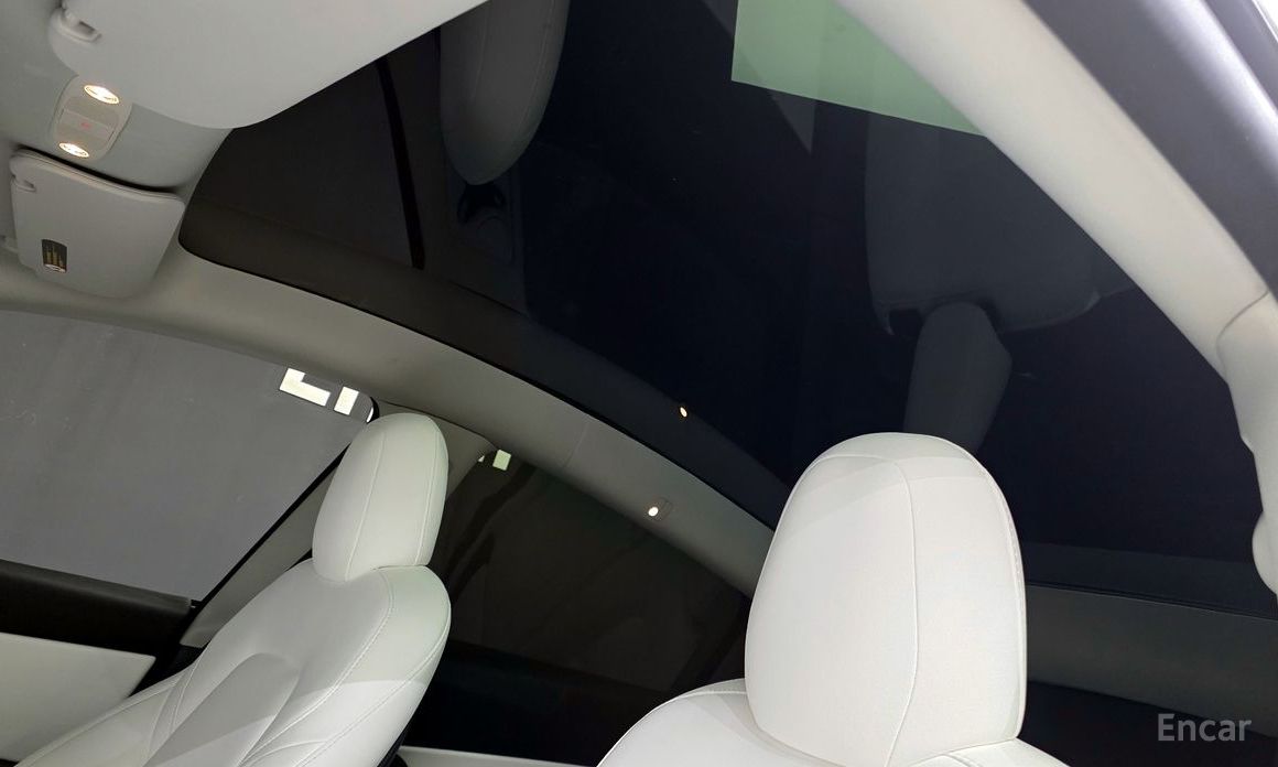Model Y Long Range 20