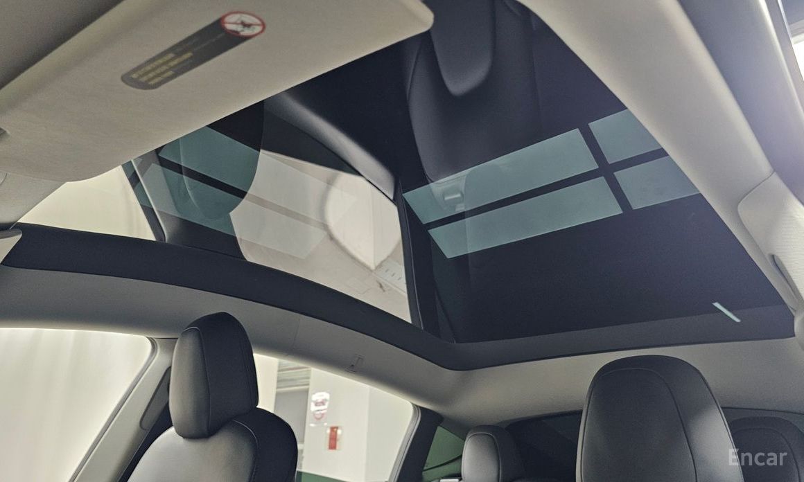Model Y Long Range 20