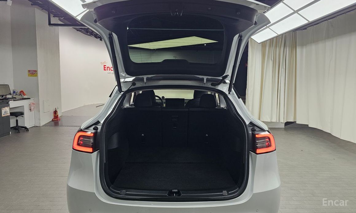 Model Y Long Range 21