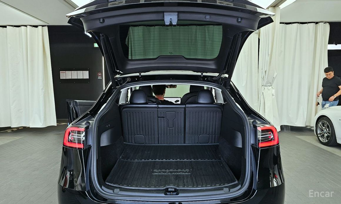 Model Y Long Range 21