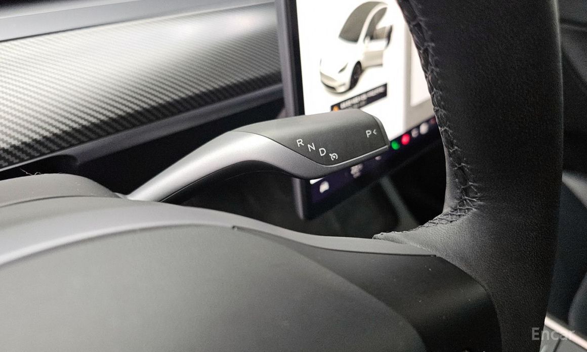 Model Y Long Range 10