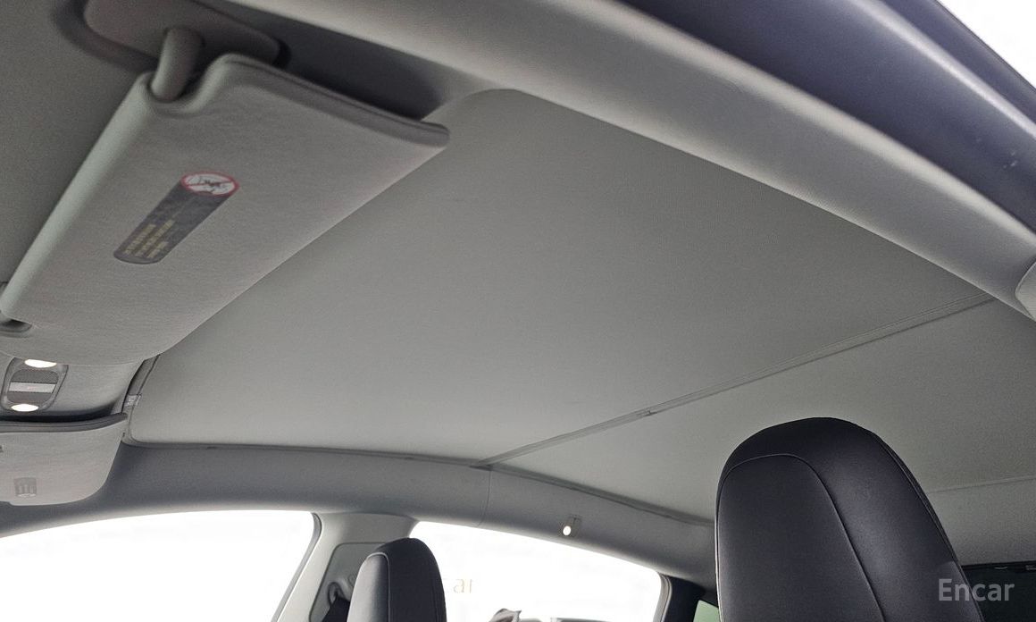Model Y Long Range 20