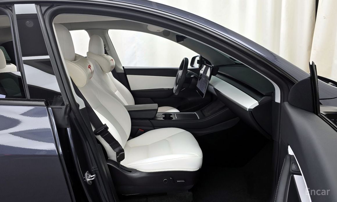 Model Y Long Range 12