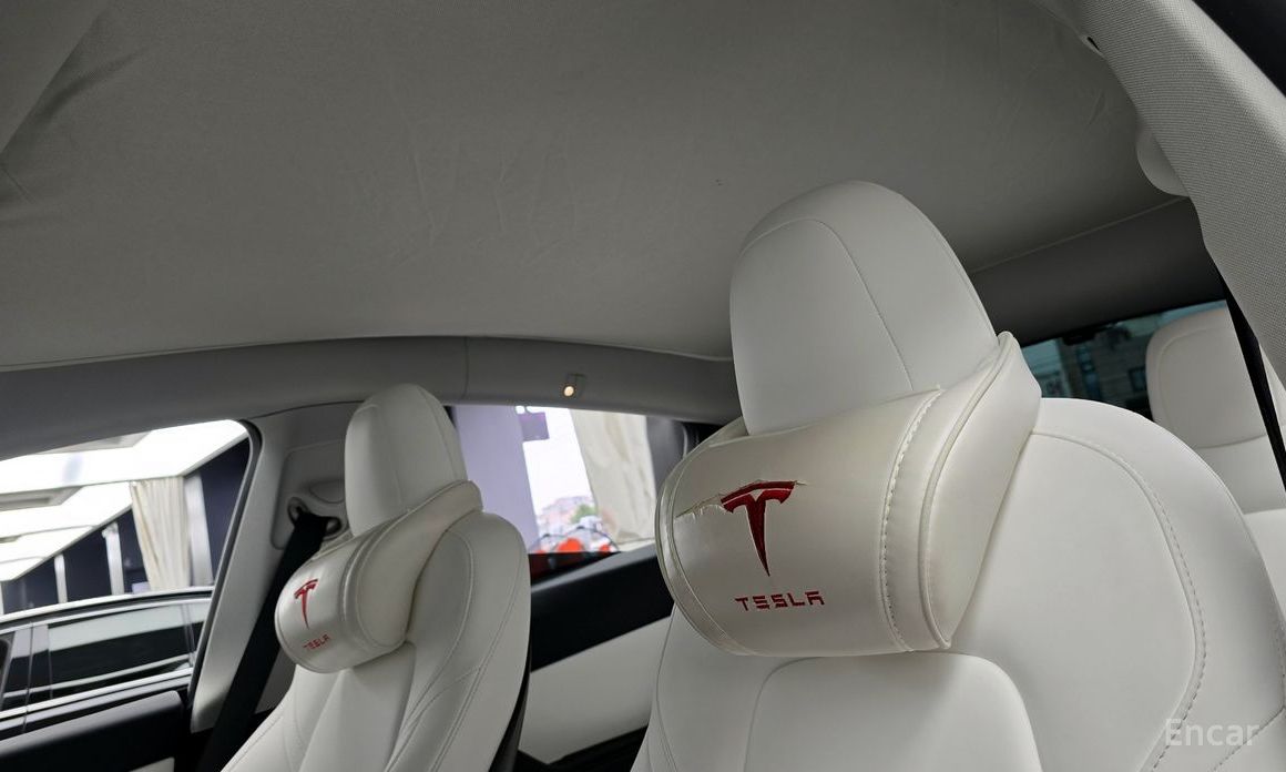 Model Y Long Range 19
