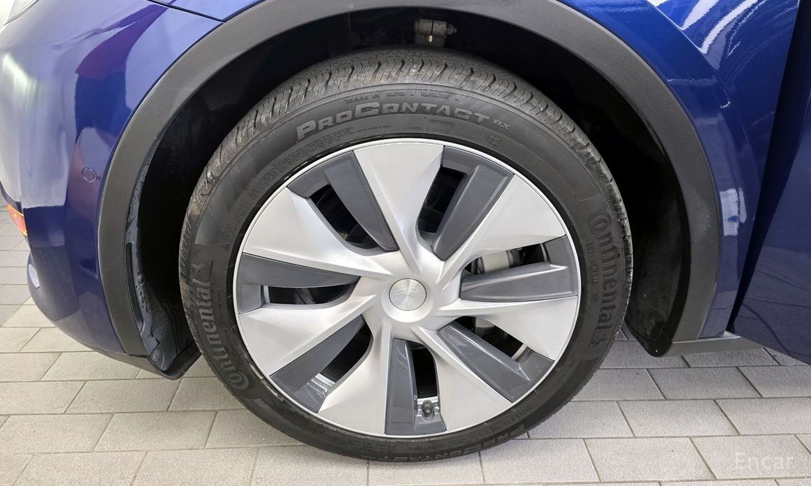 Model Y Long Range 6