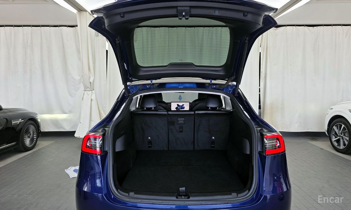 Model Y Long Range 21