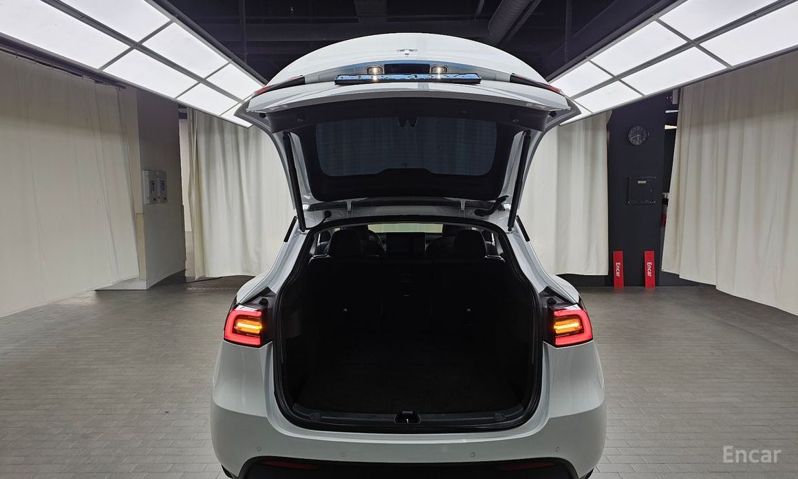 Tesla Model Y Long Range №21