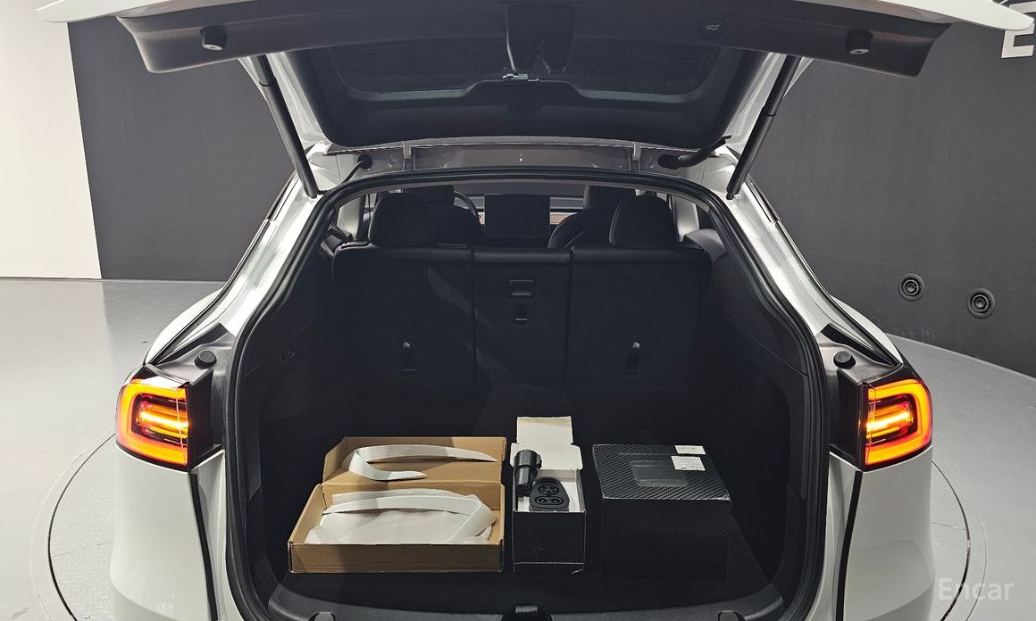 Tesla Model Y Long Range №21