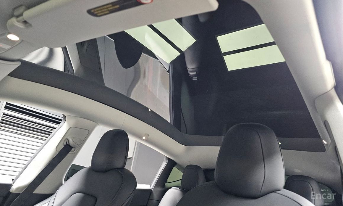 Model Y Long Range 20