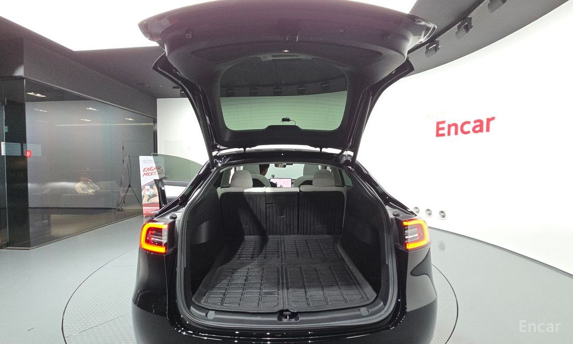 Model Y Long Range 21