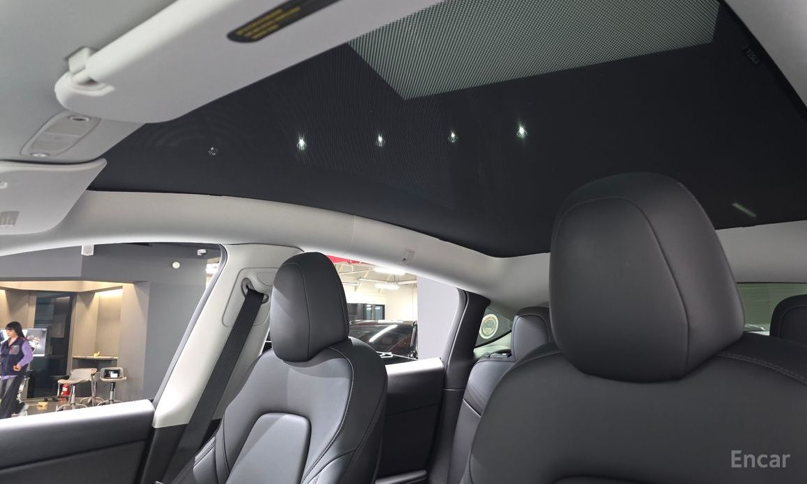 Model Y Long Range 19