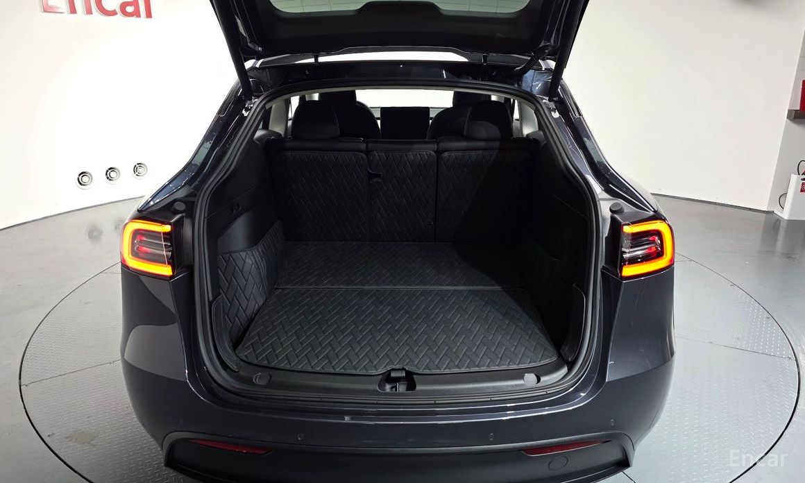Model Y Long Range 20