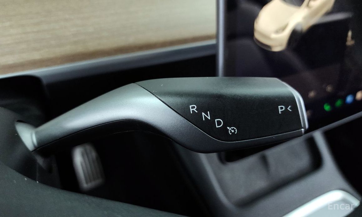 Model Y Long Range 19