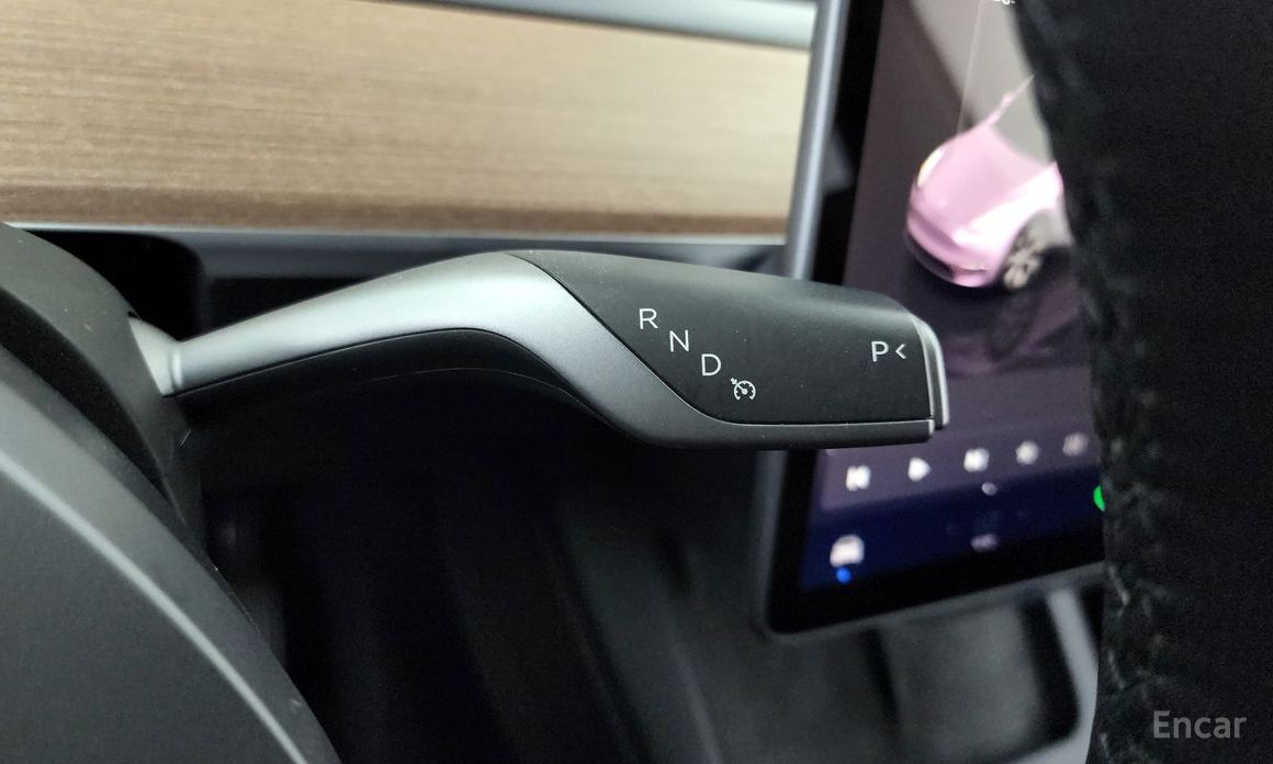 Model Y Long Range 10