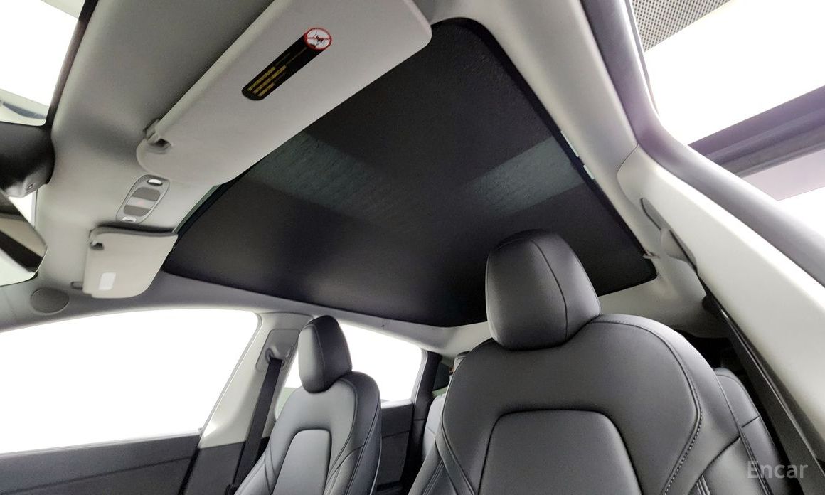 Model Y Long Range 19