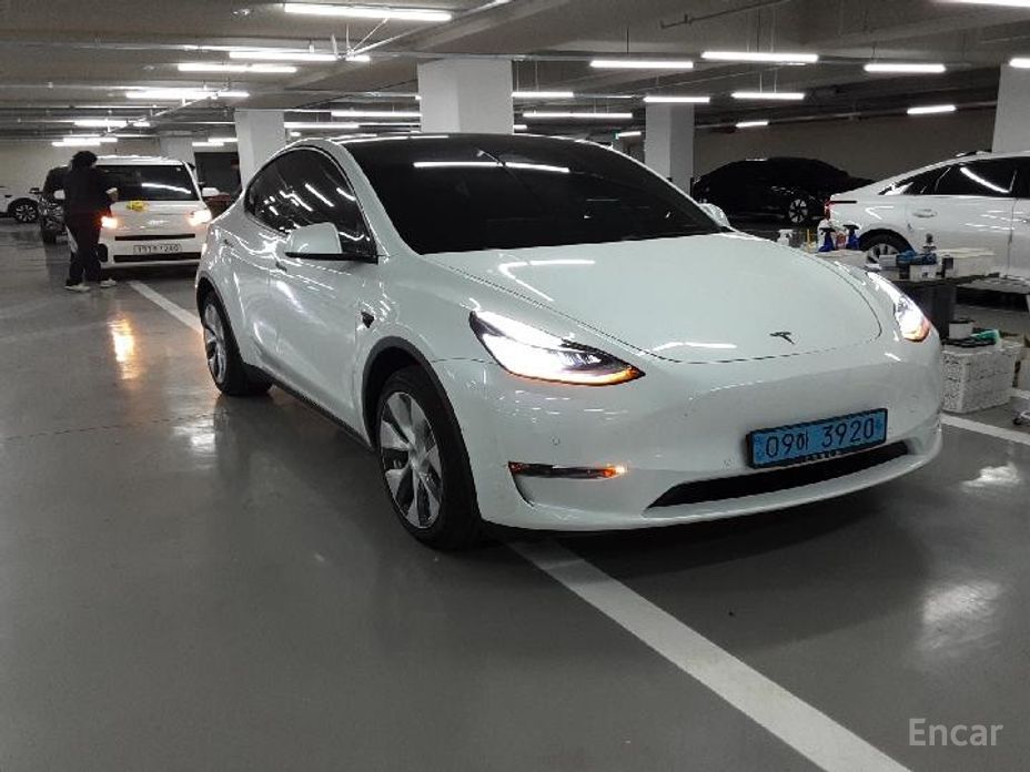 Model Y Long Range 11