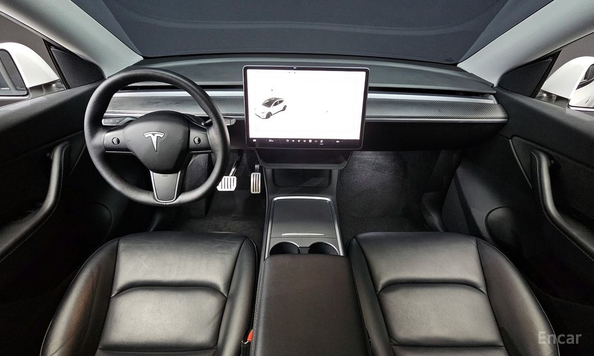 Model Y Long Range 17