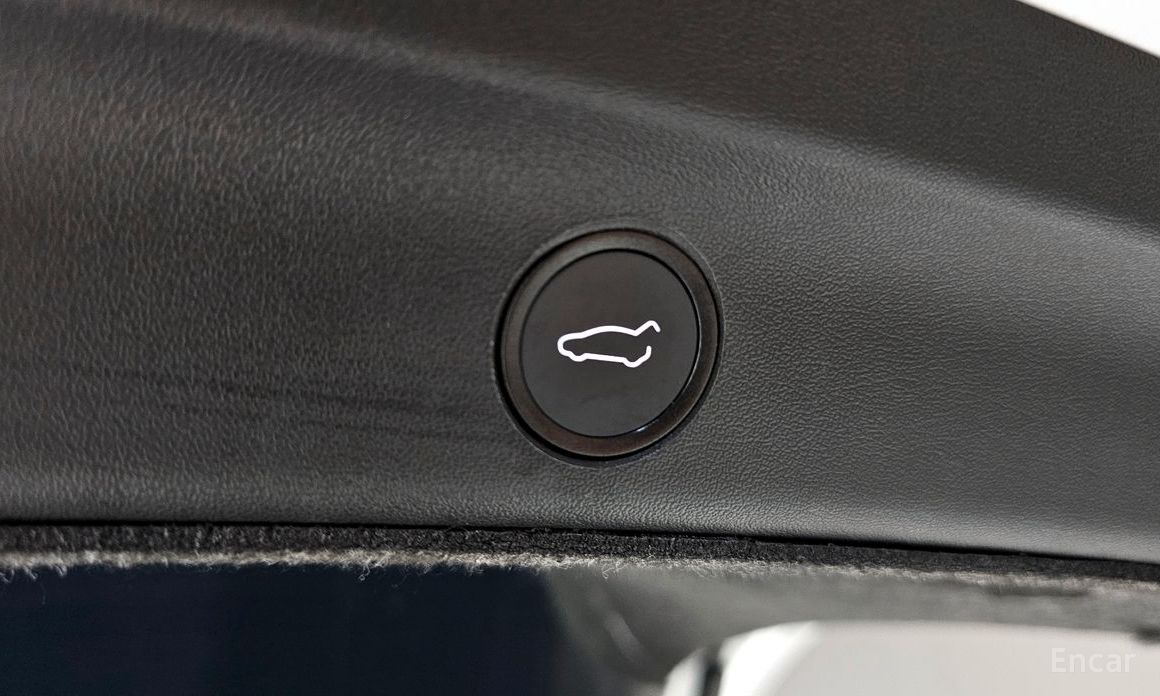 Model Y Long Range 19