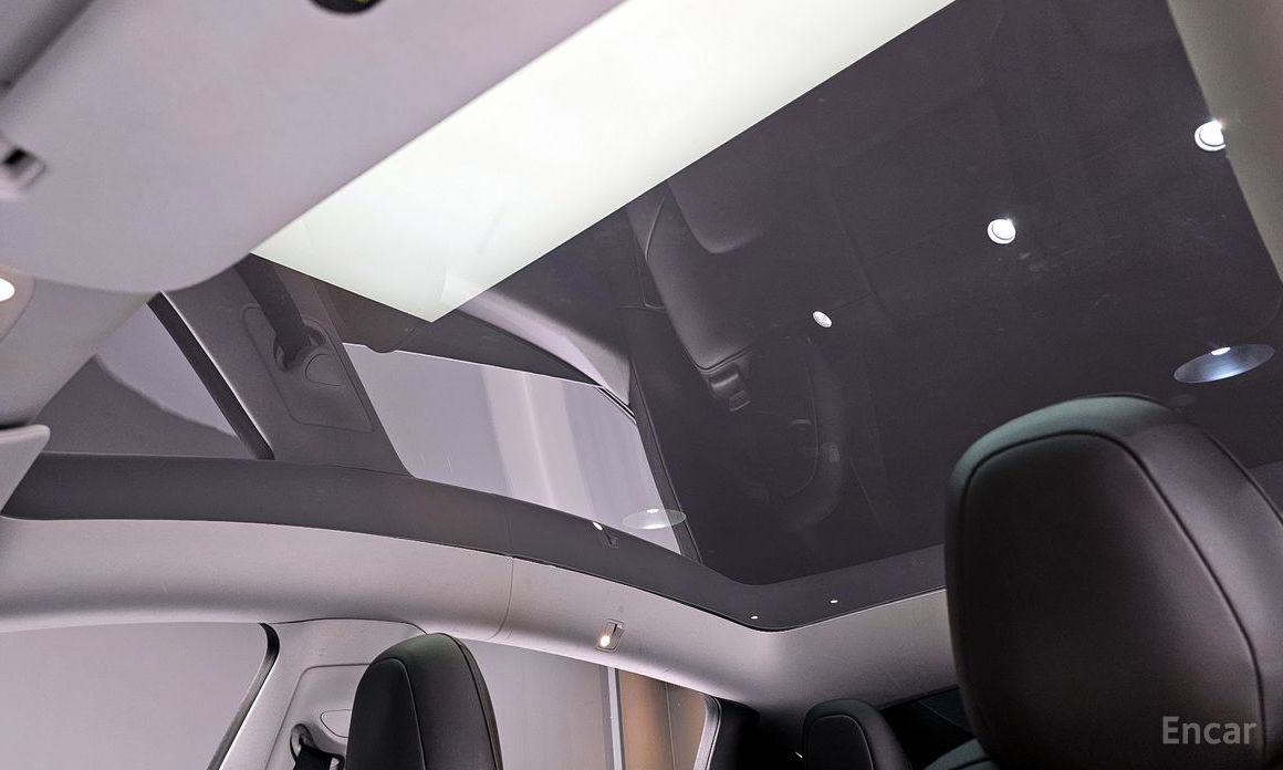 Model Y Long Range 20
