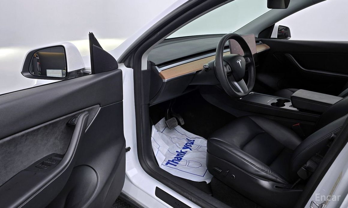 Model Y Long Range 12