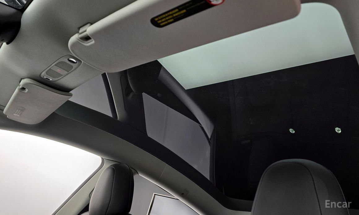 Model Y Long Range 20