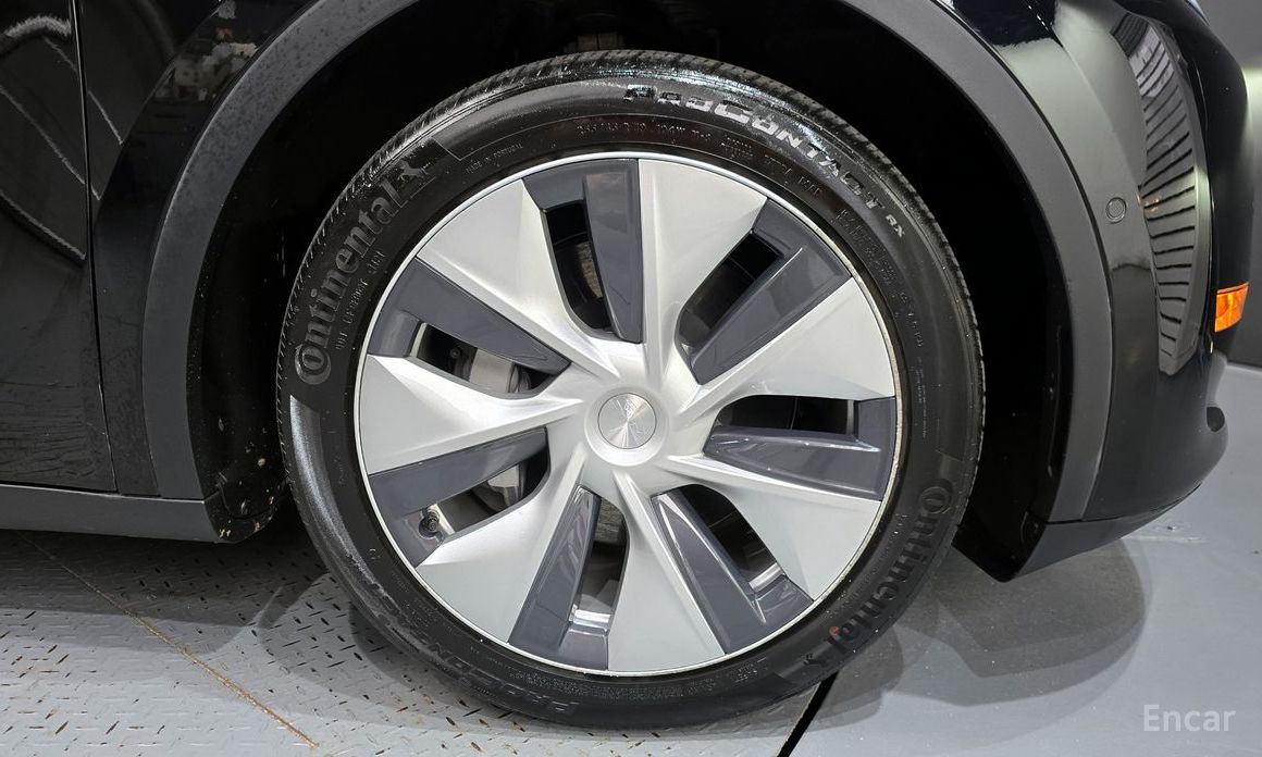 Model Y Long Range 6