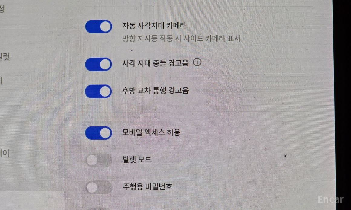 Model Y Long Range 17