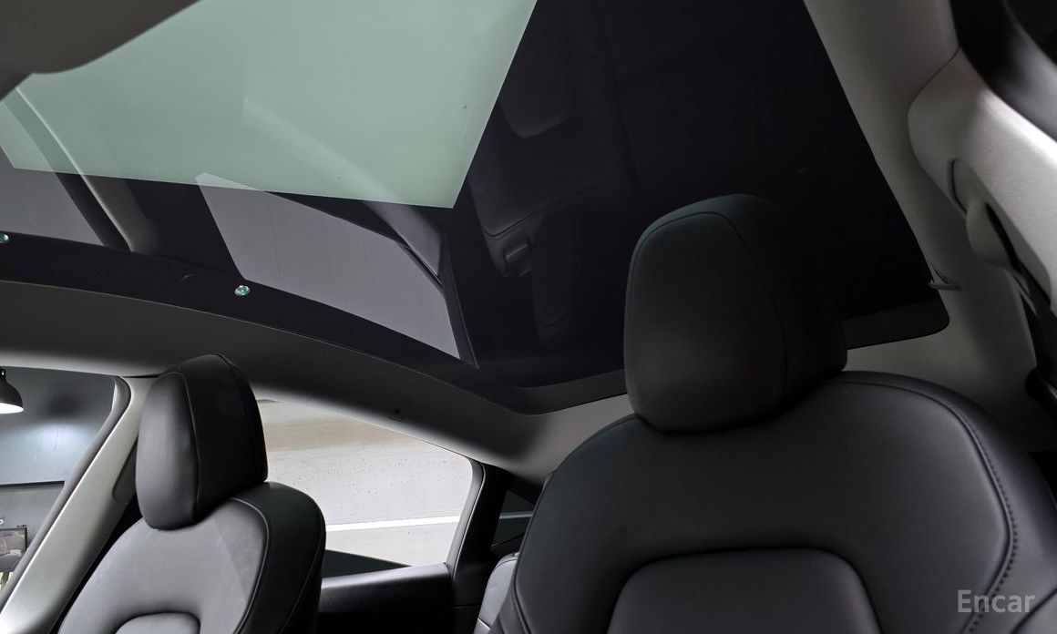 Model Y Long Range 19