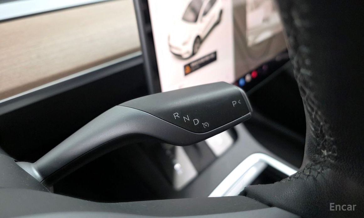 Model Y Long Range 10