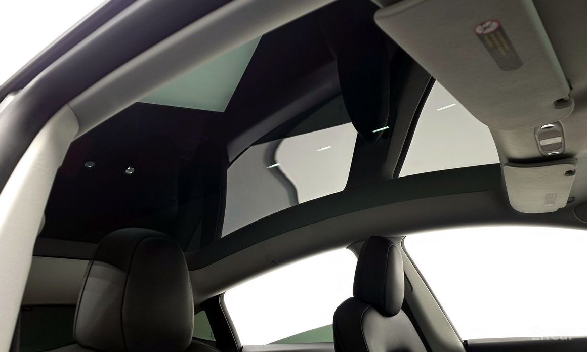 Model Y Long Range 19