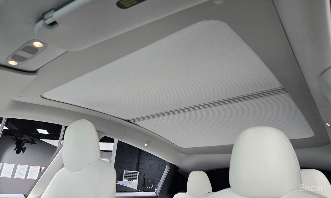 Model Y Long Range 20