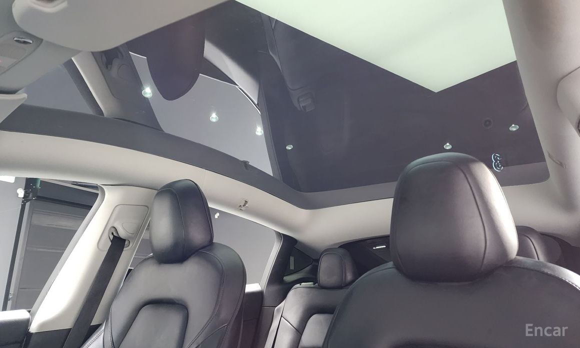 Tesla Model Y Performance №19